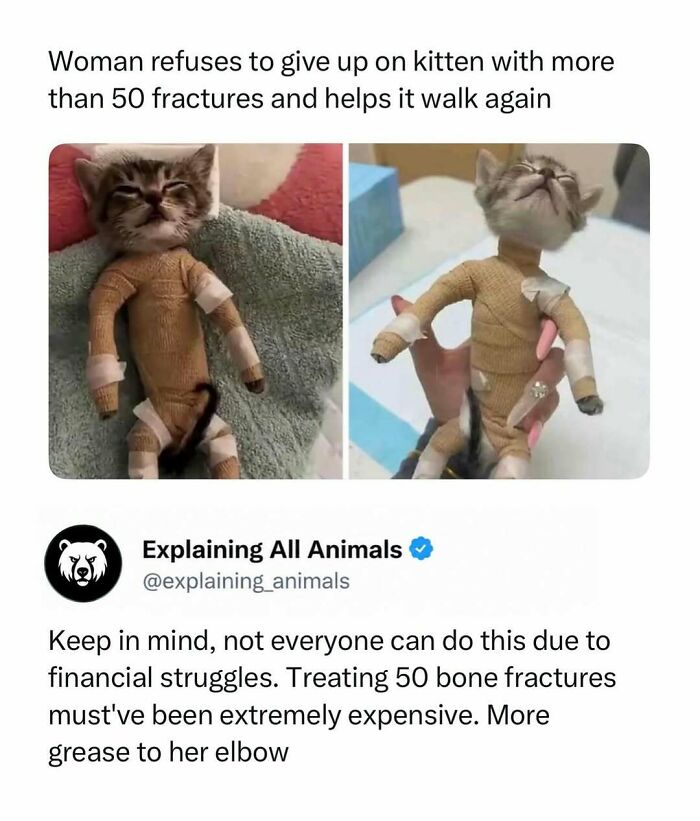 73 Animal Facts That Will Totally Blow Your Mind (No Joke)