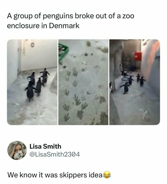 73 Animal Facts That Will Totally Blow Your Mind (No Joke)