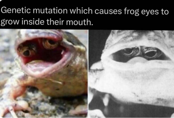73 Animal Facts That Will Totally Blow Your Mind (No Joke)