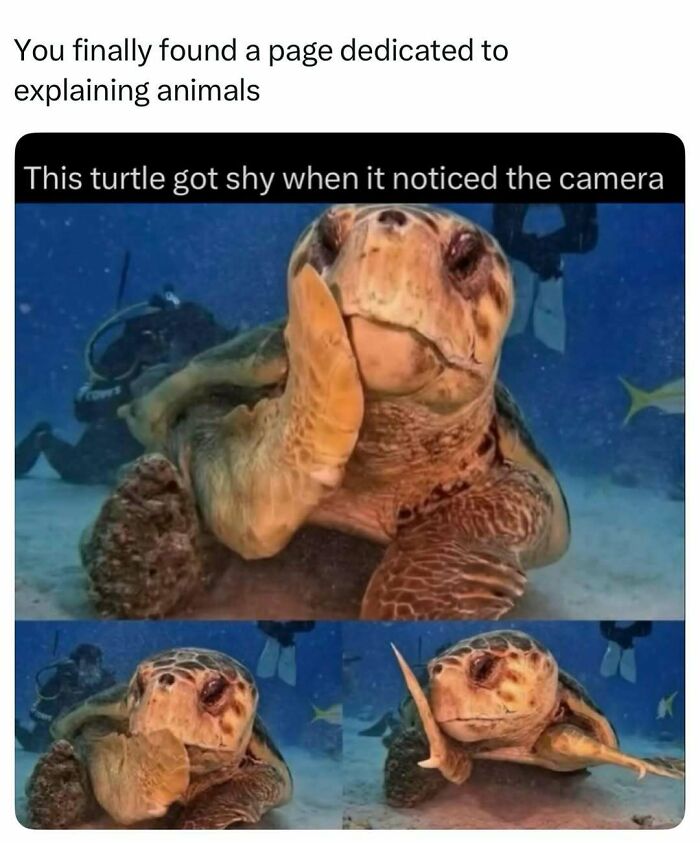 73 Animal Facts That Will Totally Blow Your Mind (No Joke)