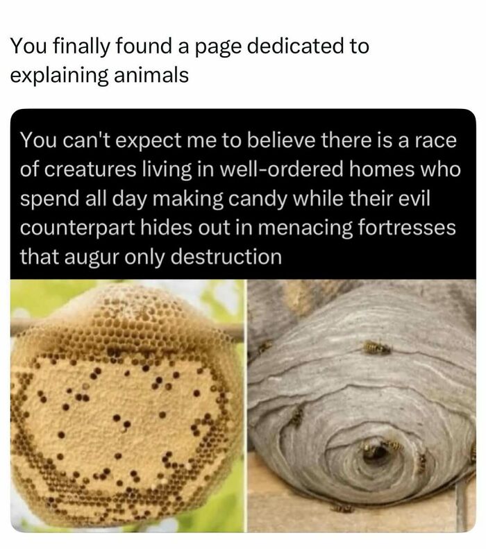 73 Animal Facts That Will Totally Blow Your Mind (No Joke)