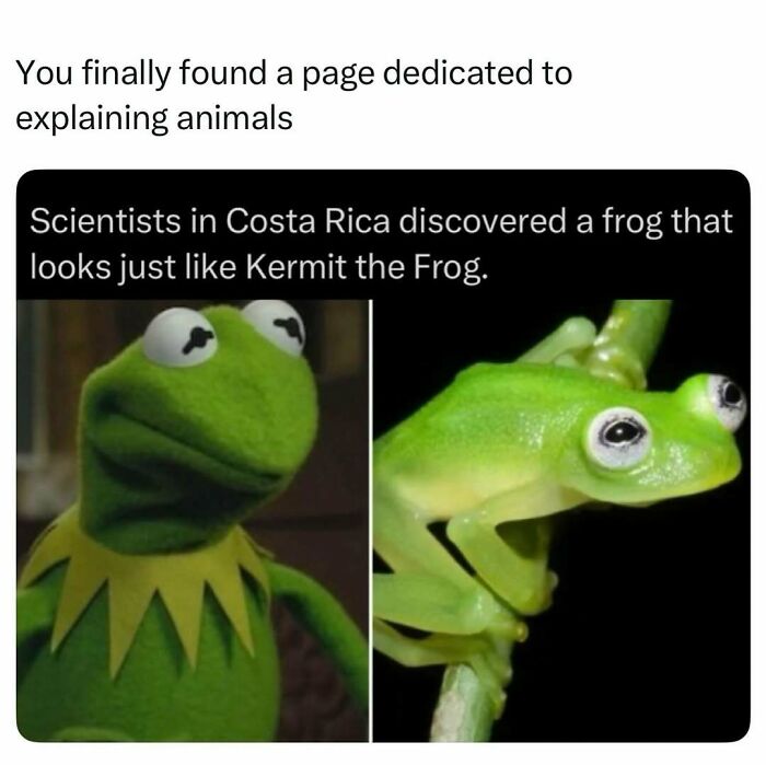 73 Animal Facts That Will Totally Blow Your Mind (No Joke)