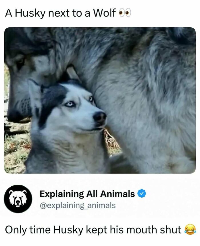 73 Animal Facts That Will Totally Blow Your Mind (No Joke)