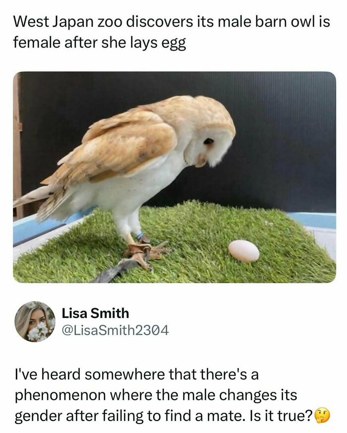 73 Animal Facts That Will Totally Blow Your Mind (No Joke)