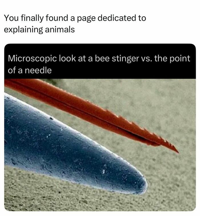 73 Animal Facts That Will Totally Blow Your Mind (No Joke)
