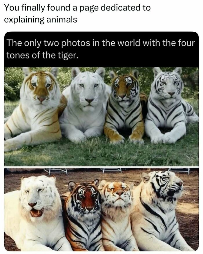 73 Animal Facts That Will Totally Blow Your Mind (No Joke)