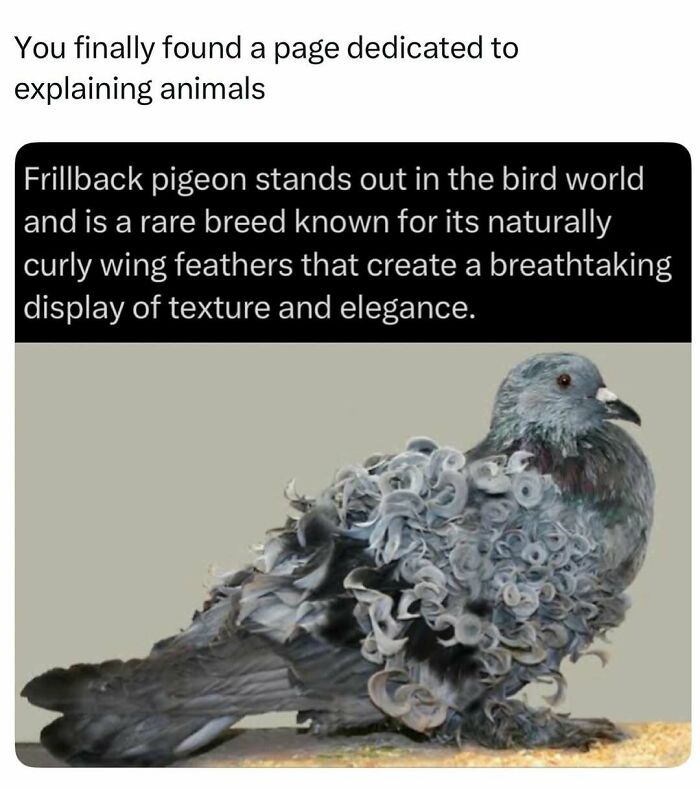 73 Animal Facts That Will Totally Blow Your Mind (No Joke)