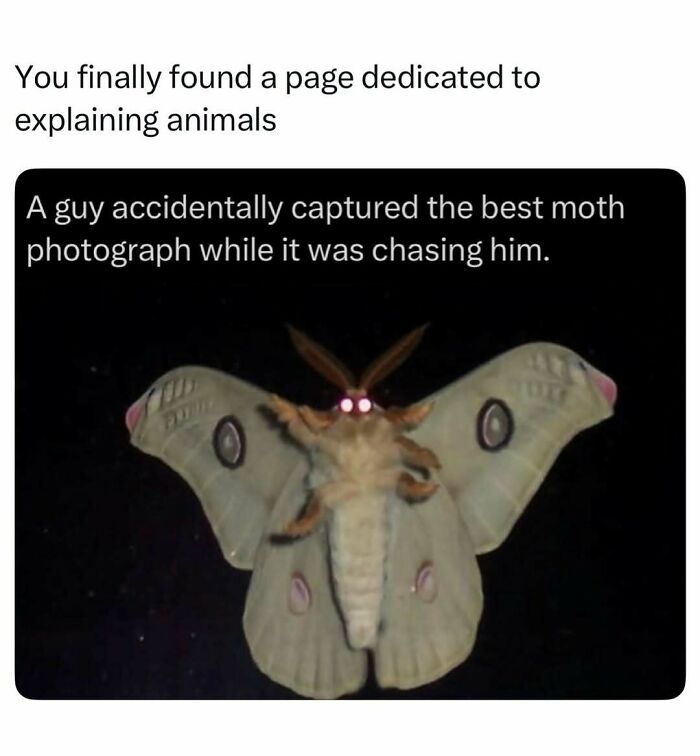 73 Animal Facts That Will Totally Blow Your Mind (No Joke)