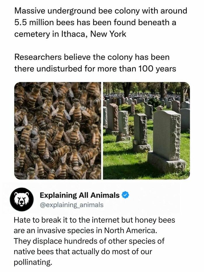 73 Animal Facts That Will Totally Blow Your Mind (No Joke)