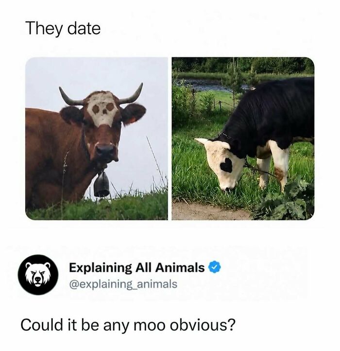 73 Animal Facts That Will Totally Blow Your Mind (No Joke)