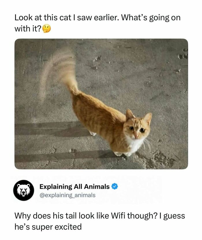 73 Animal Facts That Will Totally Blow Your Mind (No Joke)