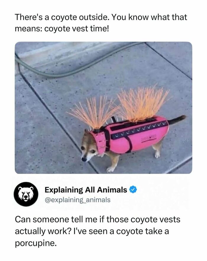 73 Animal Facts That Will Totally Blow Your Mind (No Joke)