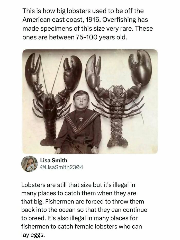 73 Animal Facts That Will Totally Blow Your Mind (No Joke)