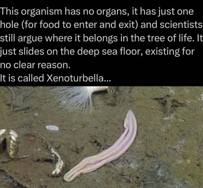 73 Animal Facts That Will Totally Blow Your Mind (No Joke)