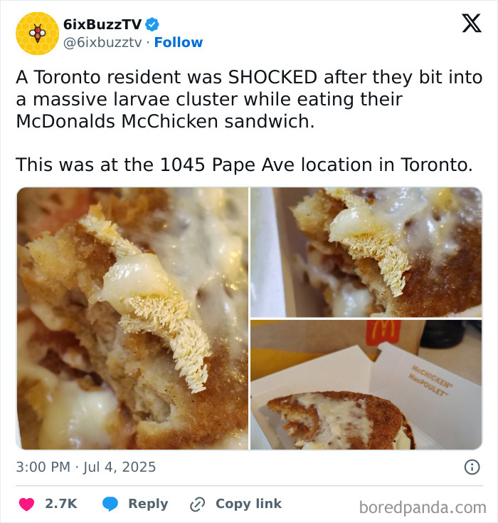 Egg Sandwich Anyone? Could Be Worse, Right?