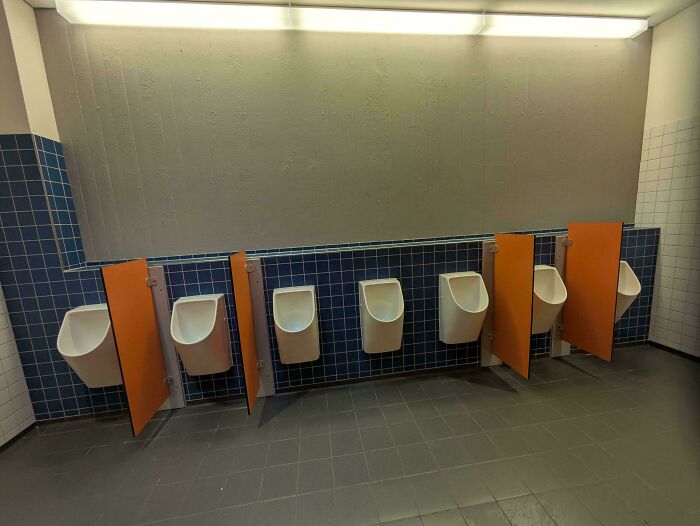 Our School Toilets—Why Though? Design Fail Alert!