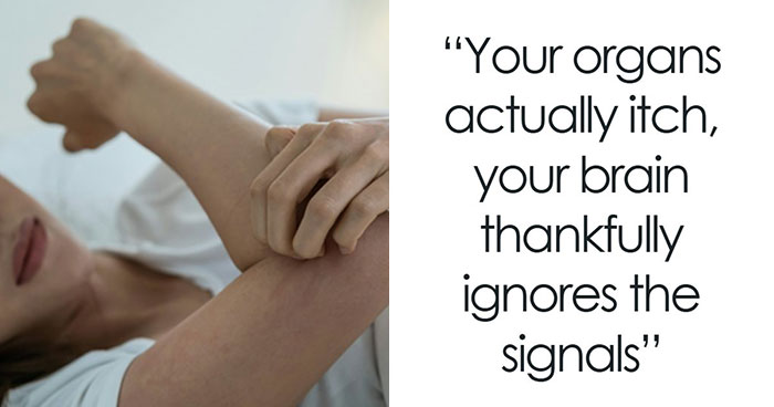 Wait, The Human Body Does WHAT? 38 Wild Facts That Will Totally Freak You Out