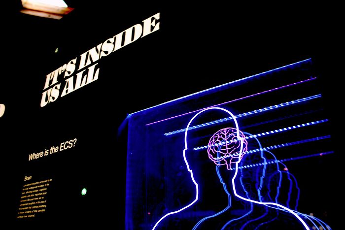 Wait, The Human Body Does WHAT? 38 Wild Facts That Will Totally Freak You Out