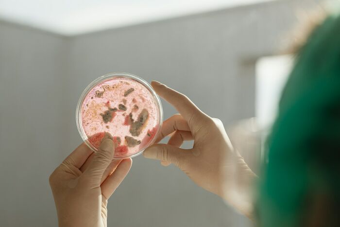 Wait, The Human Body Does WHAT? 38 Wild Facts That Will Totally Freak You Out