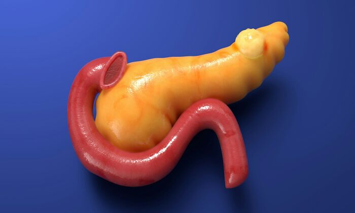 Wait, The Human Body Does WHAT? 38 Wild Facts That Will Totally Freak You Out