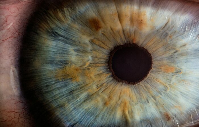 Wait, The Human Body Does WHAT? 38 Wild Facts That Will Totally Freak You Out