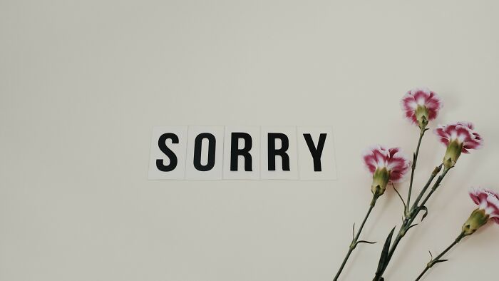 Win Every Argument... But Have To Apologize The Next Day.