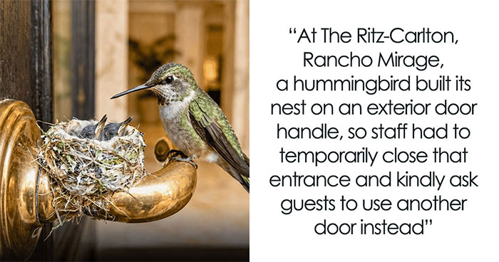 26 Animal Stories That’ll Warm Your Heart (And Maybe Make You Smile)