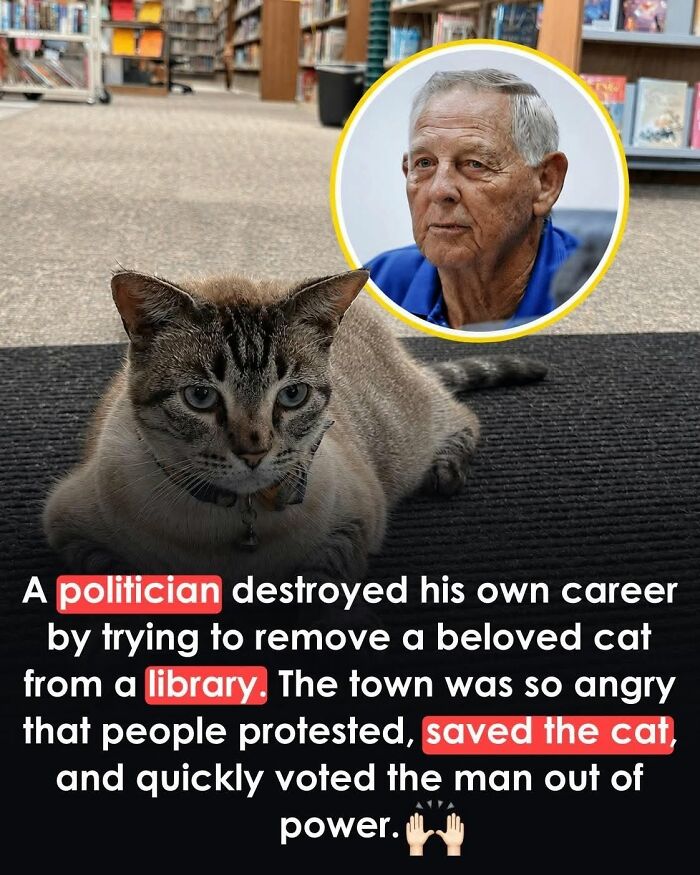 26 Animal Stories That’ll Warm Your Heart (And Maybe Make You Smile)