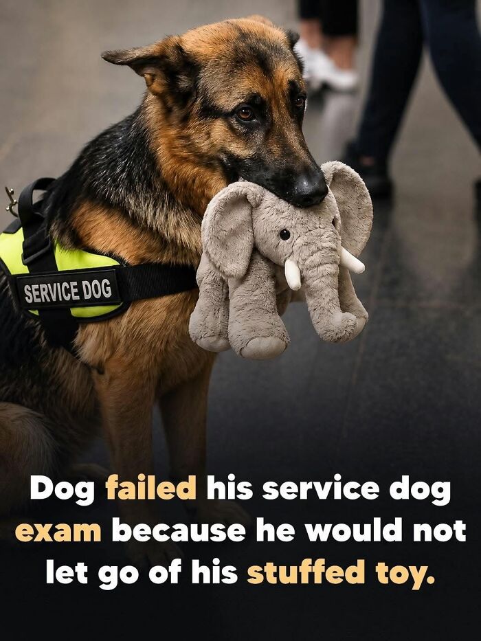 26 Animal Stories That’ll Warm Your Heart (And Maybe Make You Smile)