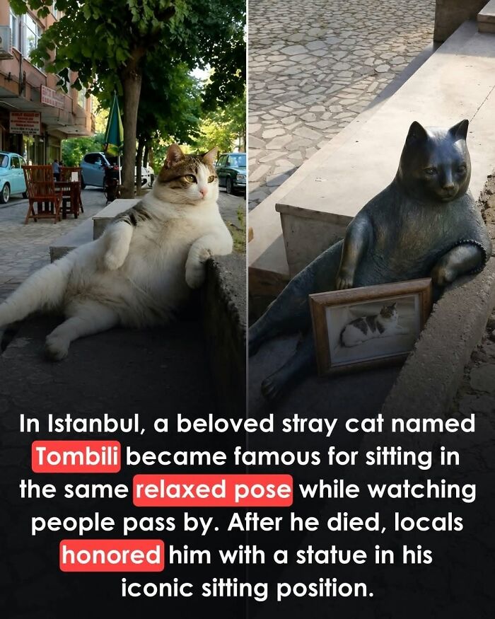 26 Animal Stories That’ll Warm Your Heart (And Maybe Make You Smile)