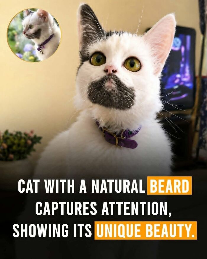 26 Animal Stories That’ll Warm Your Heart (And Maybe Make You Smile)