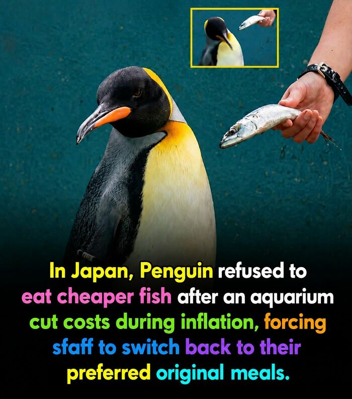 26 Animal Stories That’ll Warm Your Heart (And Maybe Make You Smile)