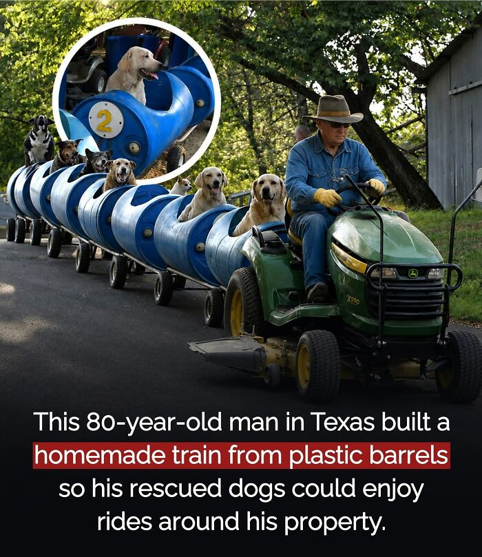 26 Animal Stories That’ll Warm Your Heart (And Maybe Make You Smile)