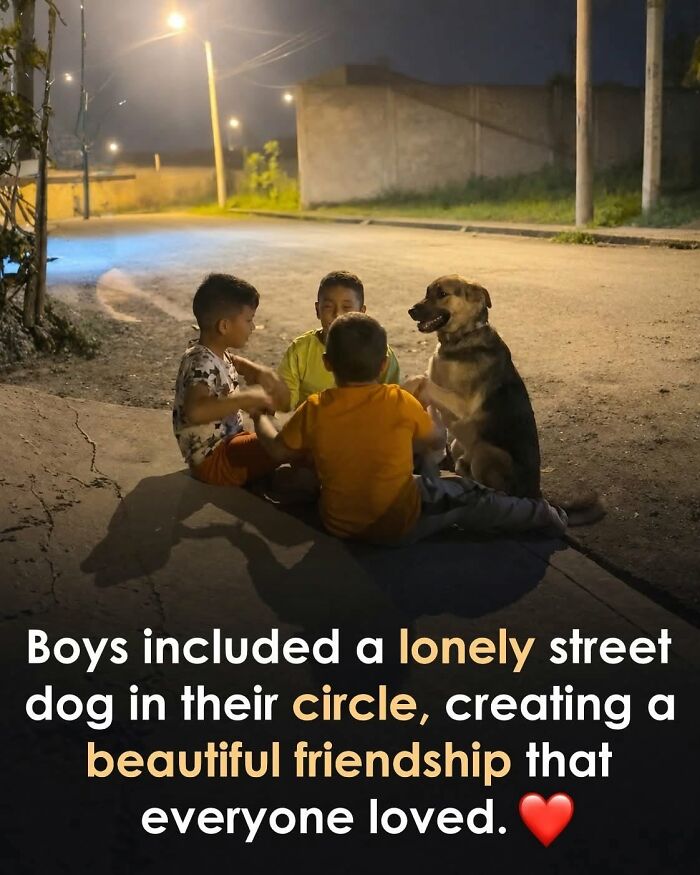 26 Animal Stories That’ll Warm Your Heart (And Maybe Make You Smile)