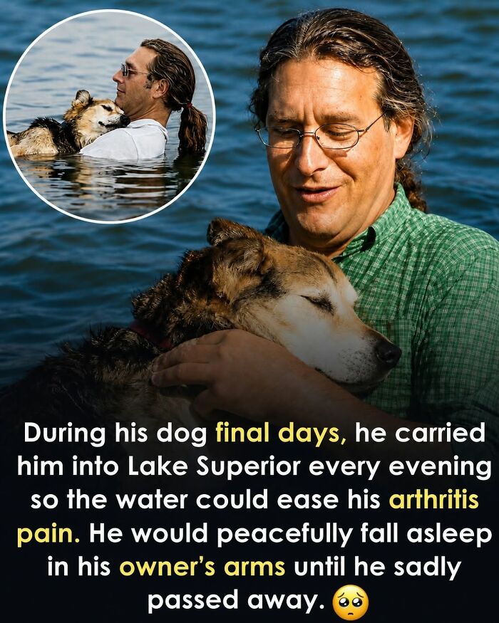 26 Animal Stories That’ll Warm Your Heart (And Maybe Make You Smile)