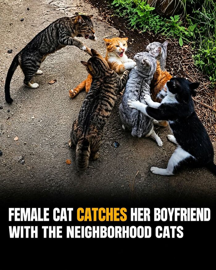 26 Animal Stories That’ll Warm Your Heart (And Maybe Make You Smile)
