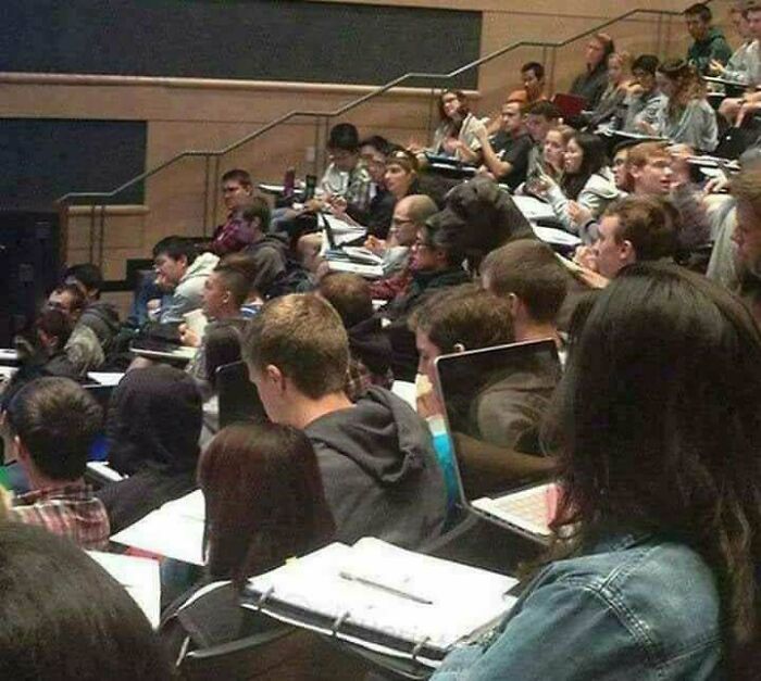 Wait, You Didn't Spot These Hidden Gems Right Away? Let's Play 'When You See It!'