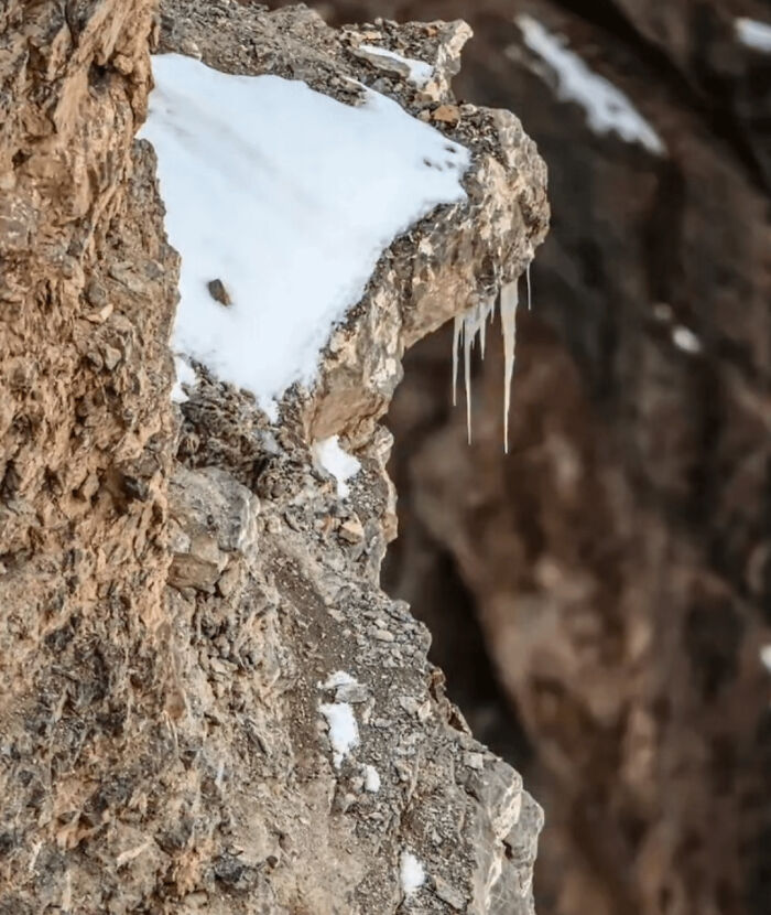 Wait, You Didn't Spot These Hidden Gems Right Away? Let's Play 'When You See It!'