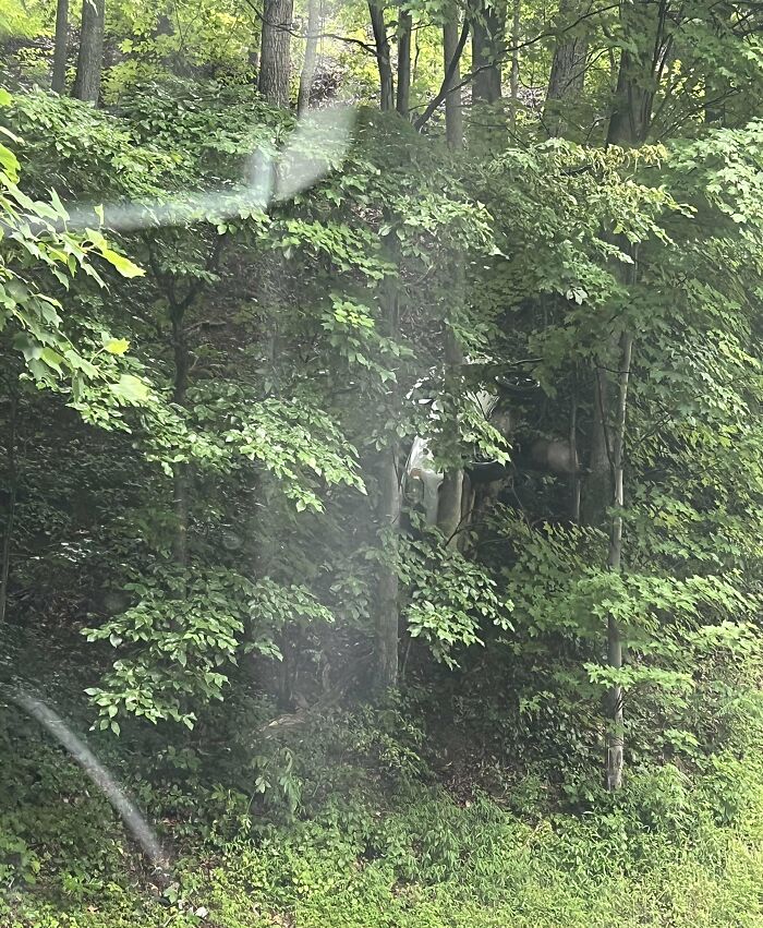Wait, You Didn't Spot These Hidden Gems Right Away? Let's Play 'When You See It!'