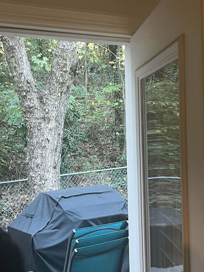 Wait, You Didn't Spot These Hidden Gems Right Away? Let's Play 'When You See It!'
