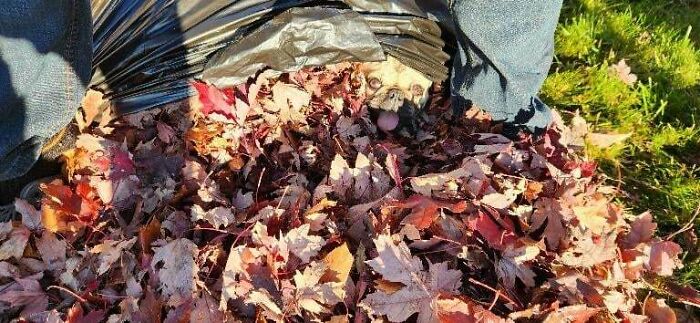 Wait, You Didn't Spot These Hidden Gems Right Away? Let's Play 'When You See It!'