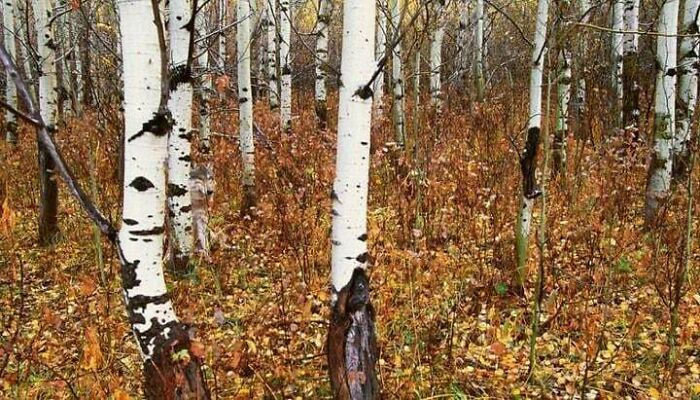 Wait, You Didn't Spot These Hidden Gems Right Away? Let's Play 'When You See It!'