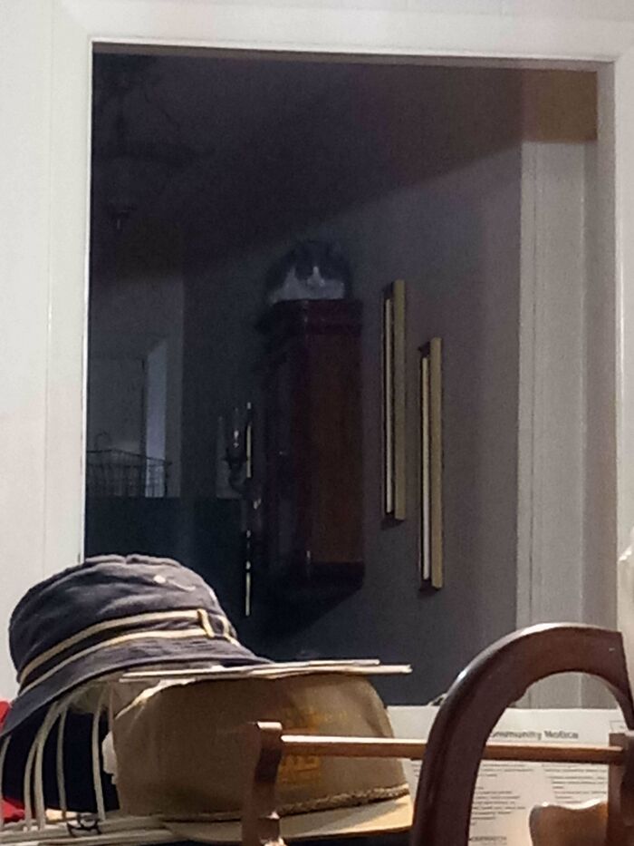 Wait, You Didn't Spot These Hidden Gems Right Away? Let's Play 'When You See It!'