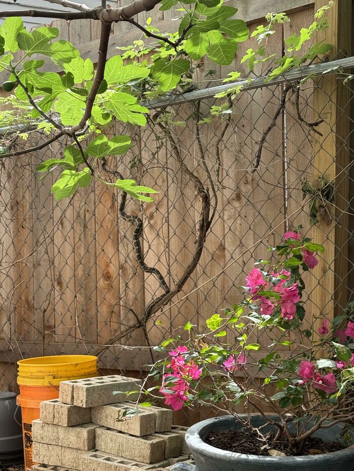 Wait, You Didn't Spot These Hidden Gems Right Away? Let's Play 'When You See It!'