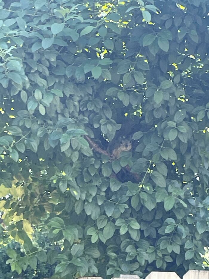 Wait, You Didn't Spot These Hidden Gems Right Away? Let's Play 'When You See It!'