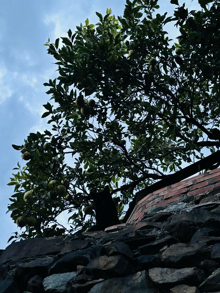 Wait, You Didn't Spot These Hidden Gems Right Away? Let's Play 'When You See It!'