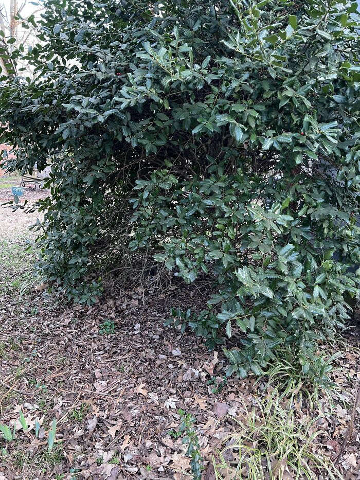 Wait, You Didn't Spot These Hidden Gems Right Away? Let's Play 'When You See It!'