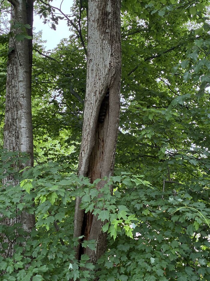 Wait, You Didn't Spot These Hidden Gems Right Away? Let's Play 'When You See It!'