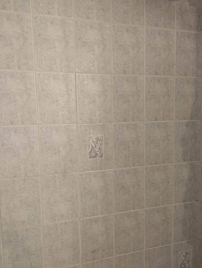 Wait, You Didn't Spot These Hidden Gems Right Away? Let's Play 'When You See It!'