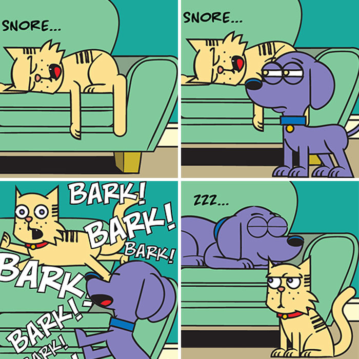 Wait Till You See What This Rescue Dog and Cat Get Up To! (25 Comics)